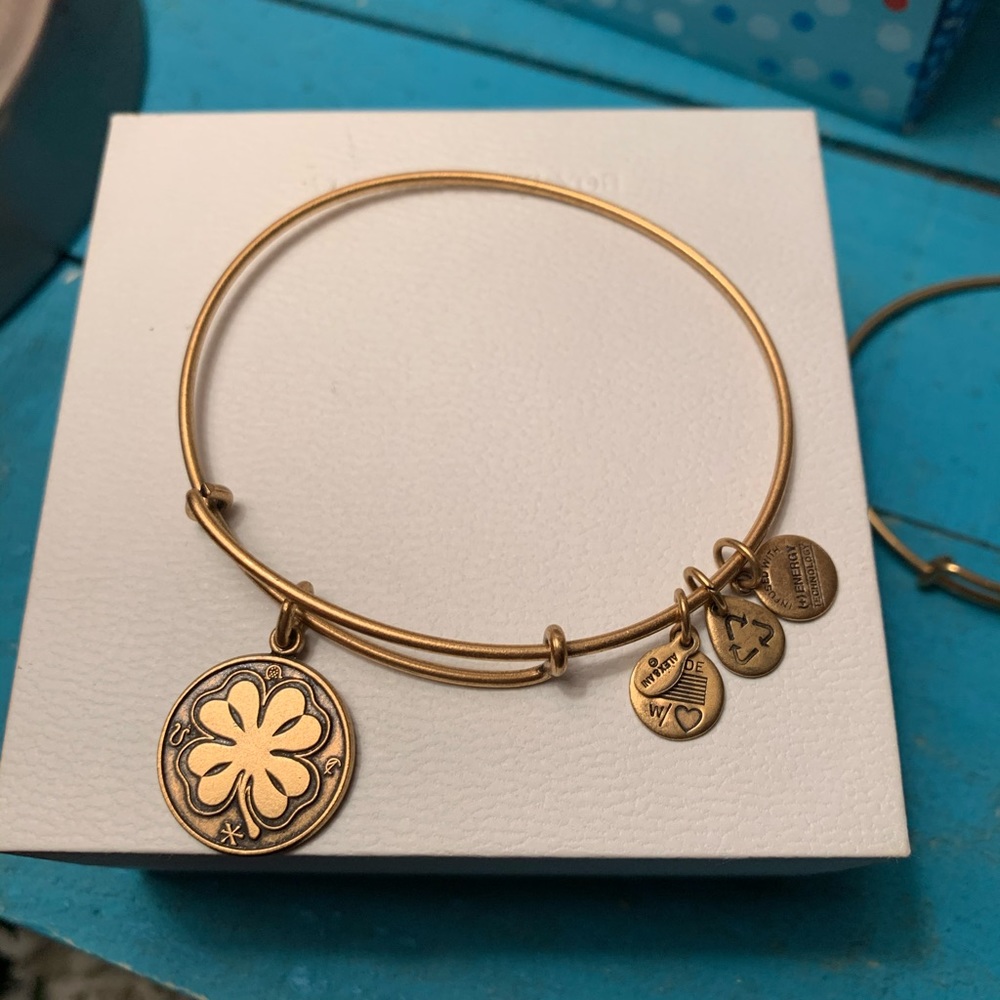 Alex & Ani bangle